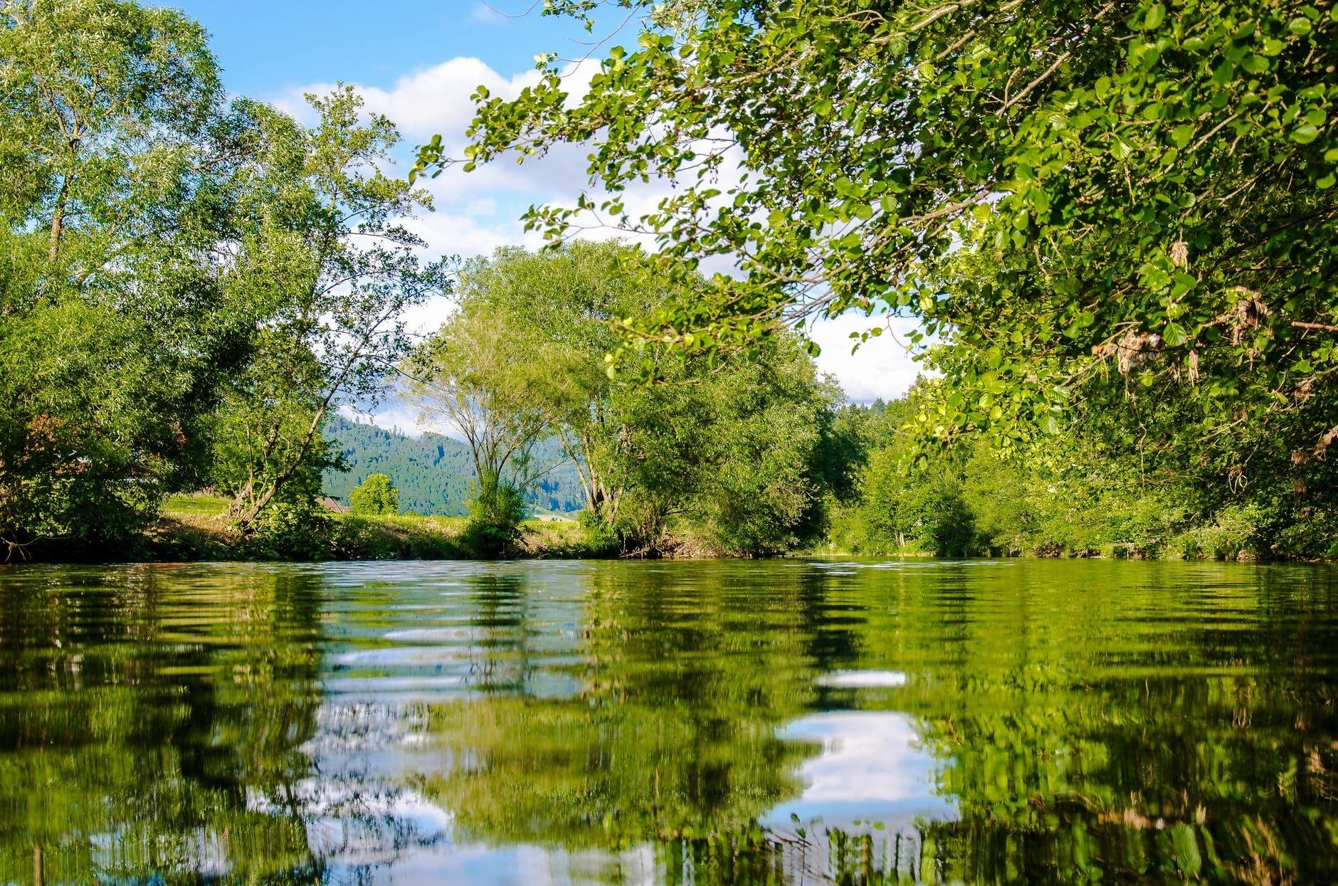 Pesca en Anglés 